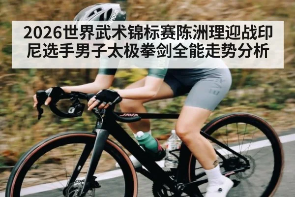 2026世界武术锦标赛陈洲理迎战印尼选手男子太极拳剑全能走势分析